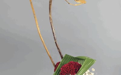 Ikebana et céramique