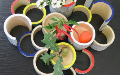Voyage et Ateliers à la Bambouseraie d’Anduze